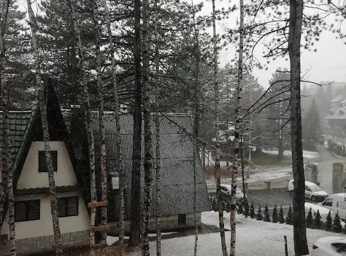 Exeo 兹拉蒂博尔