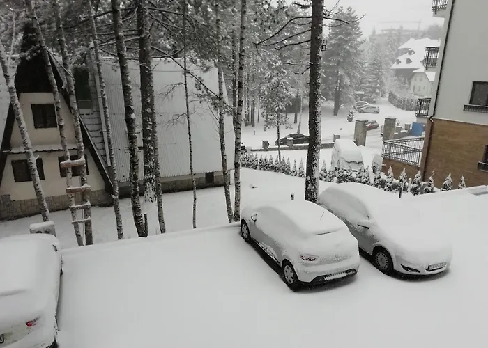 Exeo 公寓 兹拉蒂博尔