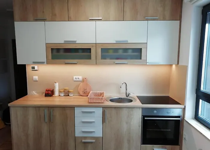 Exeo 公寓 兹拉蒂博尔